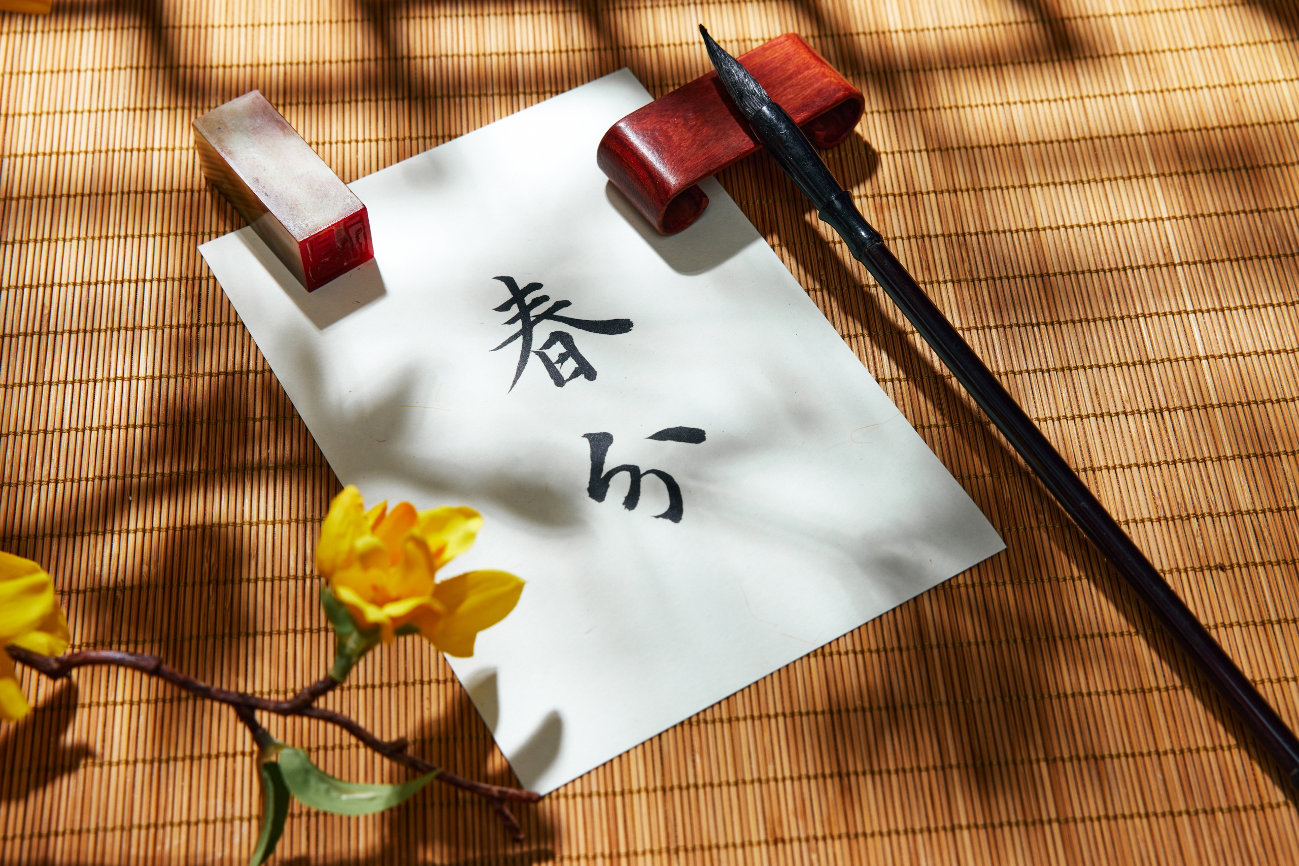 筮鹿司令前途